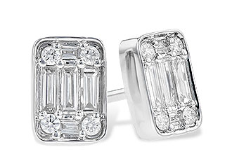 E291-10634: EARR .19 BAG .30 TW